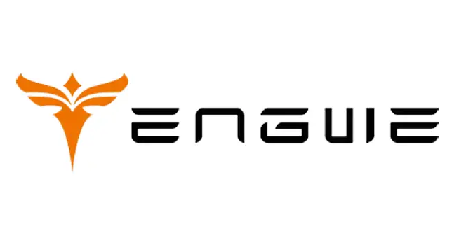 Engwe, fatbike merk IJzerman Assist
